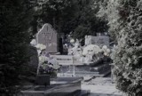 Kolejne zniszczenia na cmentarzu komunalnym w Jastrzębiu. Wandal wrócił i uszkodził ponownie zdjęcia na grobach. Policja jest na jego tropie