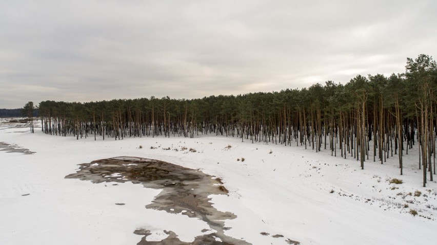 Nad zalewem w Sielpi powstanie park rozrywki a może nawet termy? Takie plany mają władze gminy Smyków [WIDEO Z DRONA, ZDJĘCIA]