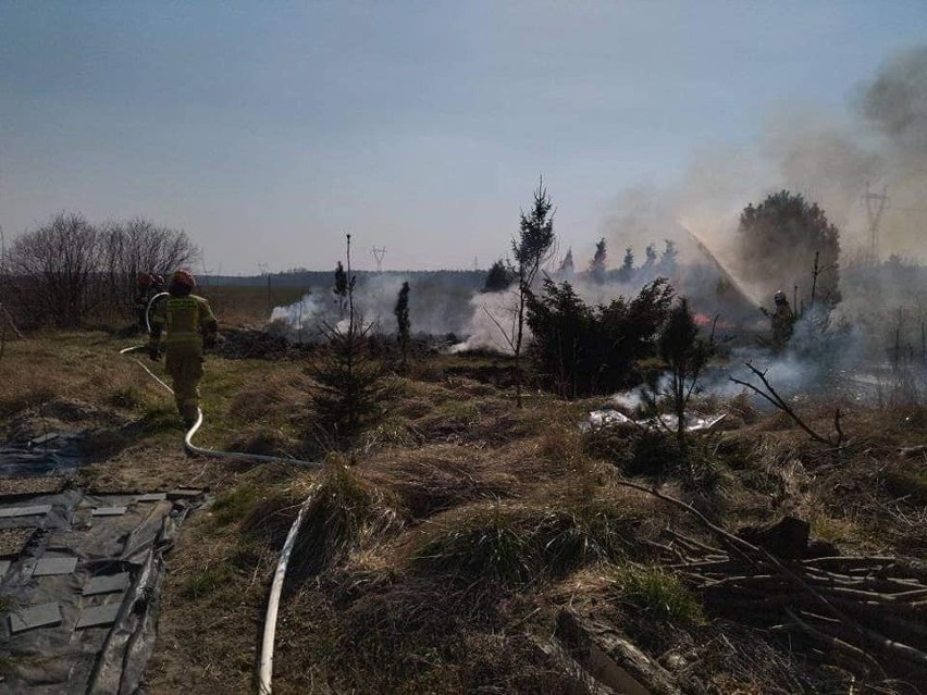 Pożar w Papowie Toruńskim.