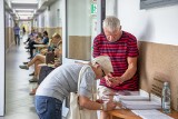 Wakacyjny boom na paszporty już za nami. Teraz złożymy wniosek niemal od ręki