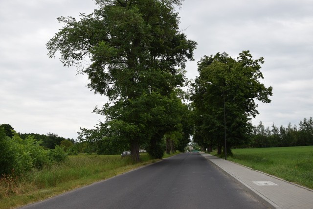 Aleja lipowa wzbudza mnóstwo kontrowersji. Nie wiadomo, kiedy i jaki będzie jej finał