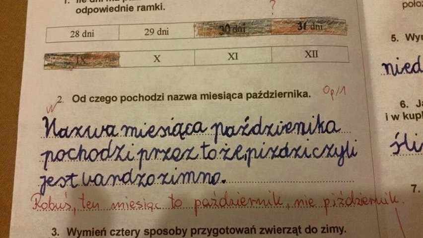 Najlepsze komentarze nauczycieli na klasówkach uczniów