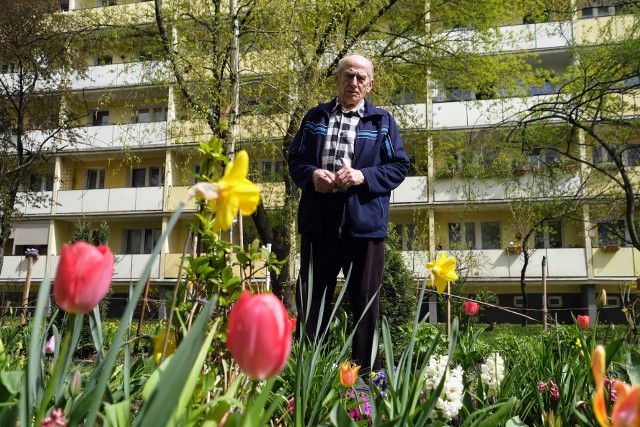 Na poznańskich Ratajach mieszka pan Kazimierz Nowak, który od blisko pięciu lat pielęgnuje ogródek między blokami. Posadził tam lilie, róże, tulipany, żonkile, a tuż obok choinkę, którą wyrzucili sąsiedzi po świętach. Wszystko robi sam, rośliny również kupuje z własnych pieniędzy, choć niektórzy mieszkańcy podrzucą niekiedy co ciekawszą cebulkę.