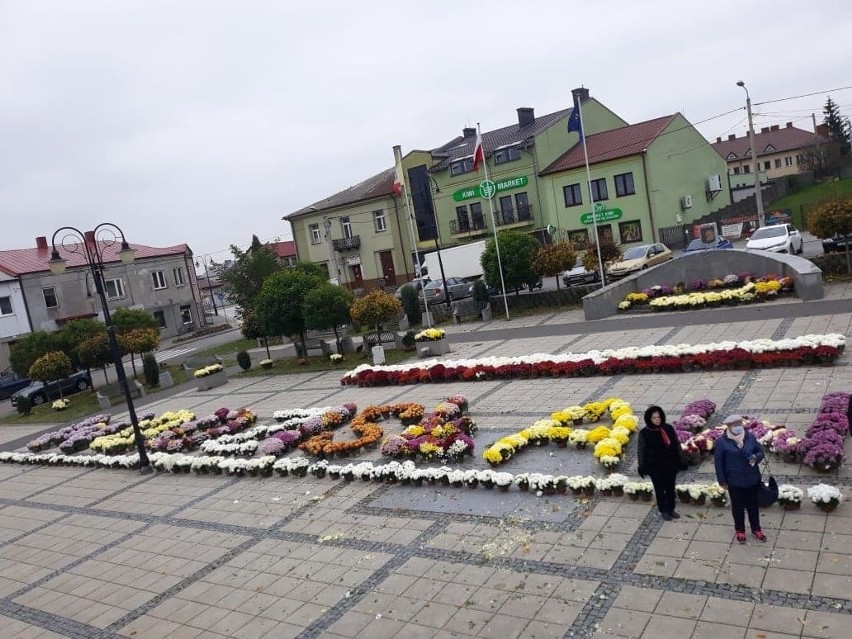 Na rynku ułożono z kwiatów wielki napis "Wodzisław".