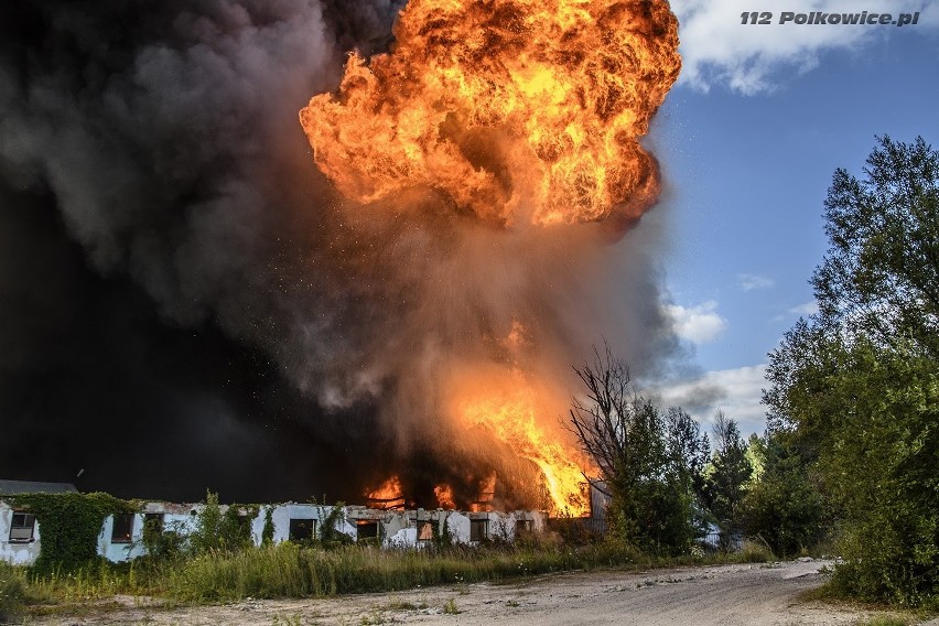 Ogromny pożar wysypiska z odpadami chemicznymi pod Głogowem. Zagrożony szyb kopalniany, las i budynki [ZDJĘCIA]