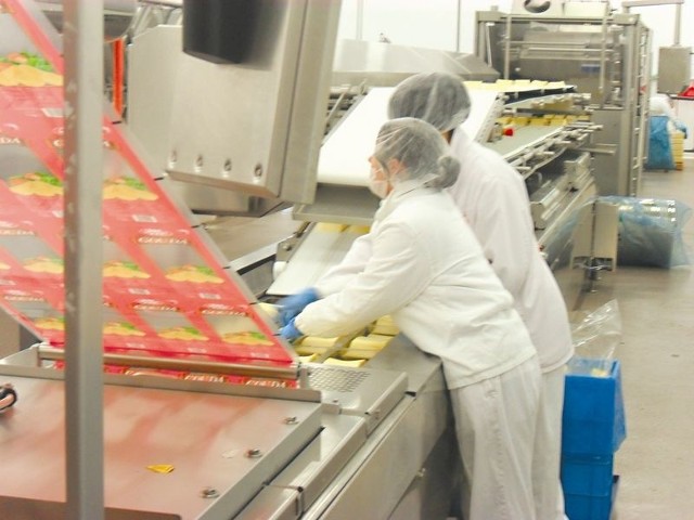W tym roku Mlekovita w swojej gigantycznej fabryce konfekcjonowania sera uruchomiła kolejną (już ósmą) linię  produkcyjną – do wiórkowania i kostkowania