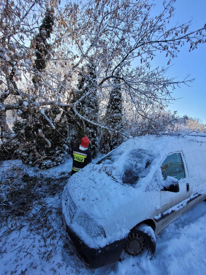 Ciężki śnieg łamał konary i gałęzie. Strażacy ponad sto razy...