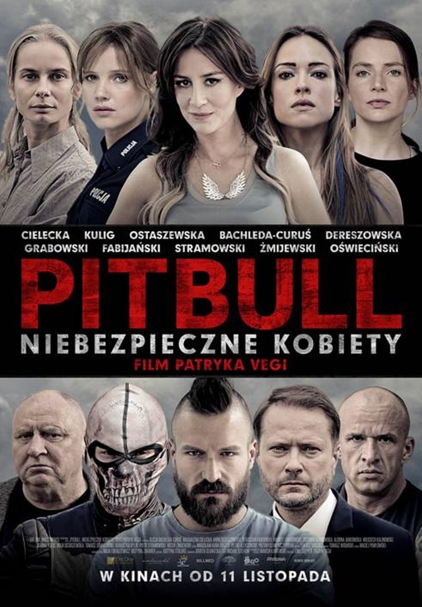 Pitbull 3 CDA. Niebezpieczne kobiety ONLINE. Cały film na...