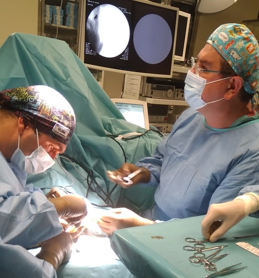 Ortopedzi z Brzeska w trakcie operacji