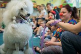 Wyszkolone czworonogi pomagają małym pacjentom szpitali. Dogoterapia na Pomorzu [zdjęcia, wideo]