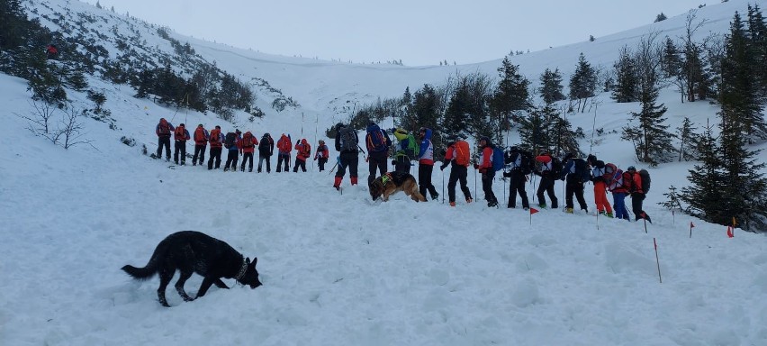 Akcja poszukiwawcza w Karkonoszach 14.03.2021