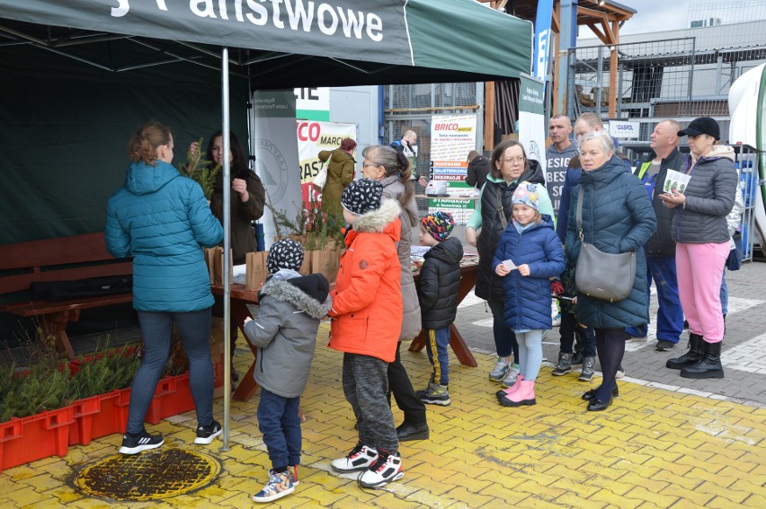 Akcja Głosu "Drzewko za surowce wtórne" w Świnoujściu i...