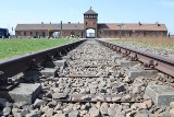 Auschwitz. Amerykanin wyciągnął śrubę z podkładu kolejowego i chciał wynieść z terenu Muzeum