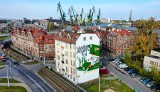 Powstał oficjalny mural Lechii Gdańsk. Wykonał go artysta TUSE