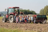 Przedszkolaki z Sukowa wzięły udział w wykopach. Zobacz zdjęcia