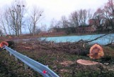 Grodzisk: Mieszkańcy alarmują o wycinkach drzew