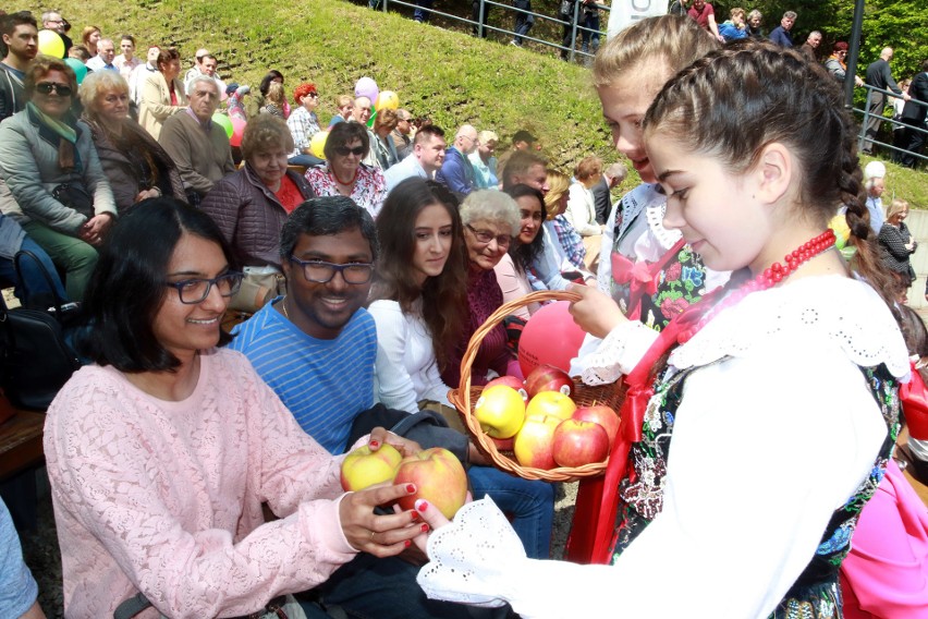Święto Kwitnącej Jabłoni w Łącku. Tłumy z Polski, goście z zagranicy