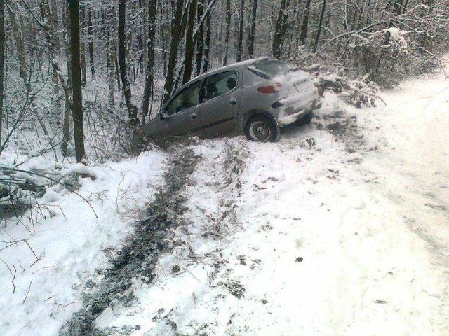 Peugeot zjechał z drogi i uderzył w drzewo.