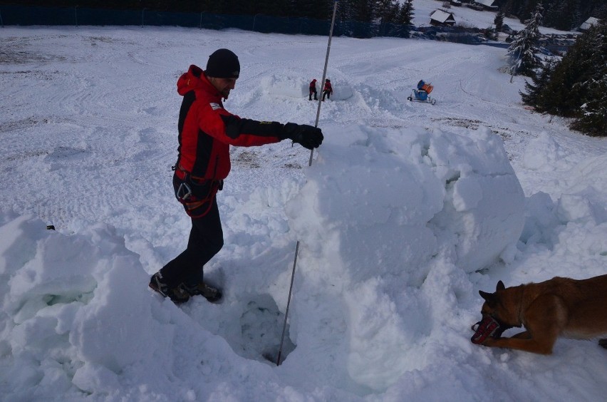 Ratownicy TOPR-u ćwiczyli odkopywanie ludzi spod śniegu [ZDJĘCIA]