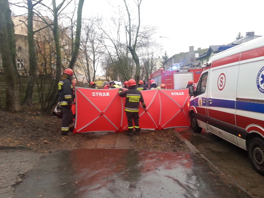 Śmiertelny wypadek na Sierakowskiego. Kierowca daewoo uderzył w drzewo [ZDJĘCIA]