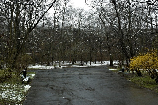 Park Bednarskiego zostanie ostatecznie zrewitalizowany o kilka milionów złotych taniej, niż początkowo zakładano