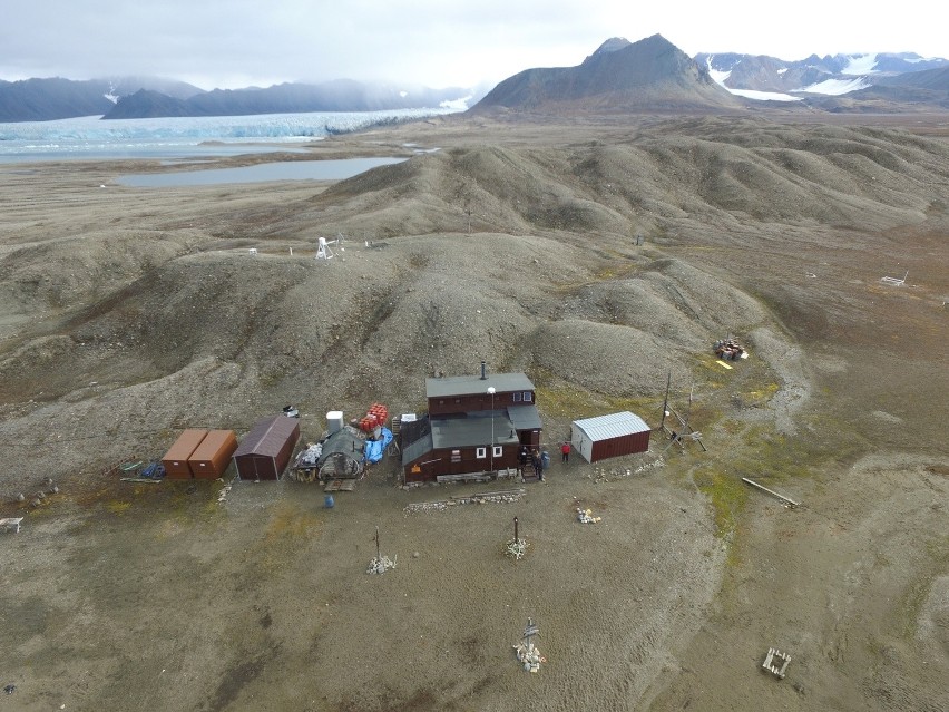 Stacja Polarna UMK. Zwierzęta na Spitsbergenie
