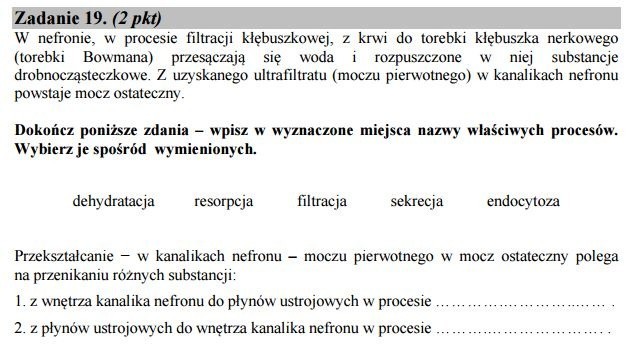 Stara matura 2016: Biologia rozszerzona [ODPOWIEDZI, ARKUSZ CKE]