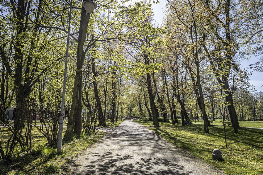 Wiosna zawitała do Parku Kościuszki w Katowicach