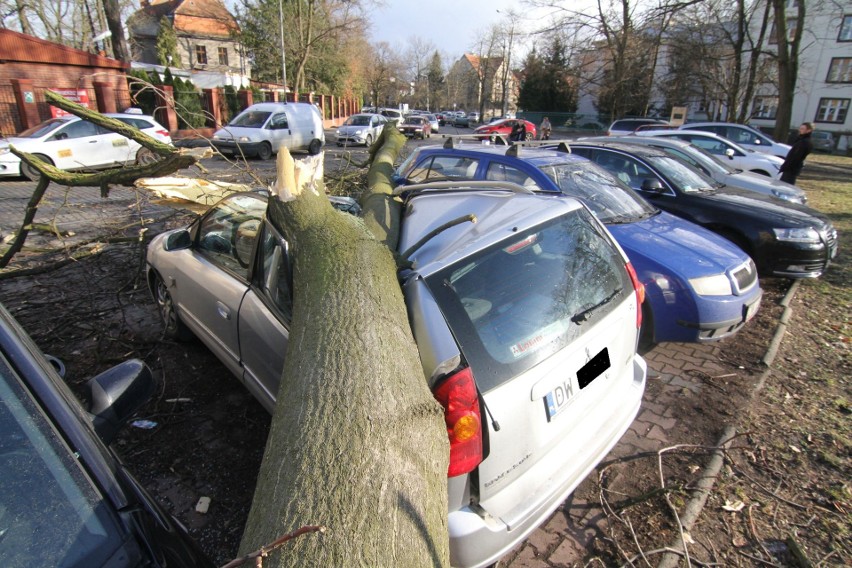 Wichura we Wrocławiu. Połamane drzewa, uszkodzony dach szpitala [ZDJĘCIA]