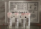 Testy diagnozujące COVID-19 w 11 minut. Testy zostały zwalidowane na próbkach klinicznych i są dopuszczone do sprzedaży na rynku europejskim