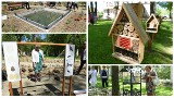 Otwarcie nowego parku przy Fredry w Toruniu