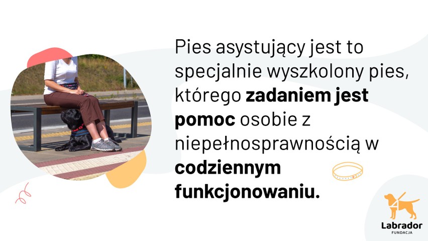 Akcja edukacyjna w MPK Poznań prowadzona przez Fundację na...