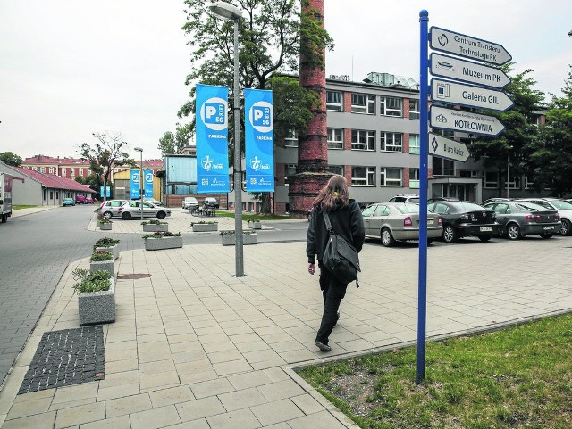 Na parkingu Politechniki przy ul. Szlak dostępnych będzie ok. 440 miejsc postojowych dla osób korzystających z samochodów w trakcie ŚDM.