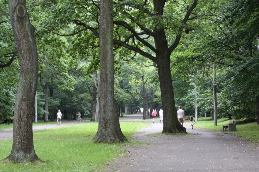 Tak dziś wygląda park Zielona w Dąbrowie Górniczej