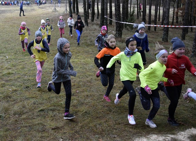 W sobotę w Borowym Młynie odbył się XIII Mikołajkowy Bieg Przełajowy w ramach cyklu „Cross Festiwal”. Rywalizowano na dystansach od 200 do 1500 metrów. Najmłodsza kategoria wiekowa to dzieci z przedszkola, a najstarsza to gimnazjaliści. Medale, puchary i nagrody wręczali wójt Andrzej Lemańczyk, dyrektorka szkoły w Borowym Młynie Grażyna Burant, dyrektor szkoły w Borzytuchomiu Jarosław Ścigała, no i oczywiście Mikołaj, czyli Roman Reszka. Zapraszamy do obejrzenia zdjęć i filmu wideo. Szersza relacja w papierowym Głosie Bytowa/Miastka (Głos Pomorza). (ang)