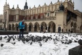 Zima wróciła do Krakowa. Znów spadł śnieg, ślisko na drogach i chodnikach  [ZDJĘCIA]