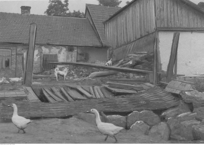 Proszowice. Fragment miejscowości