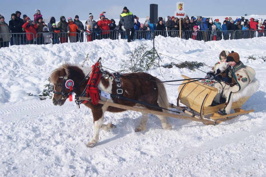 Kumoterki Zakopane 2018