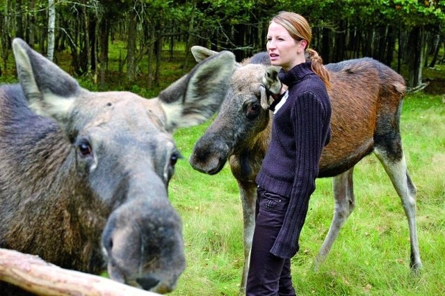 Ania Dobrydnio i jej kochane pupile: para łosi Wala i Wiktor. - Uczyłam się ich, a one poznawały mnie. Tylko z pozoru są takie łagodne, bo to wciąż dzikie zwierzęta - mówi ich opiekunka.