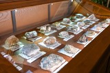 Zakopane. Muzeum Tatrzańskie zaprezentowało fragment nowej, stałej wystawy w gmachu głównym
