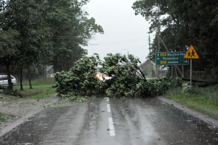 Burza przewróciła drzewo wprost na drogę w miejscowości...