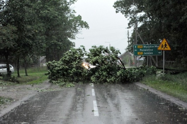 Burza przewróciła drzewo wprost na drogę w miejscowości Sokoły