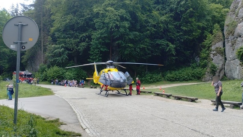 Wypadek na drogach Ojcowskiego Parku Narodowego. Samochód matki z dzieckiem spadł ze skarpy. Jedna osoba ranna