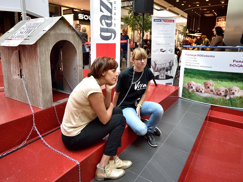 Światowy Dzień Zwierząt w Galerii Echo w Kielcach