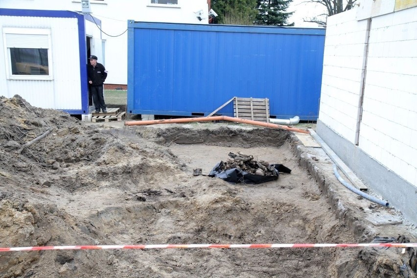 Wrocław: Ludzkie szczątki w zbiorowym grobie przy Granicznej