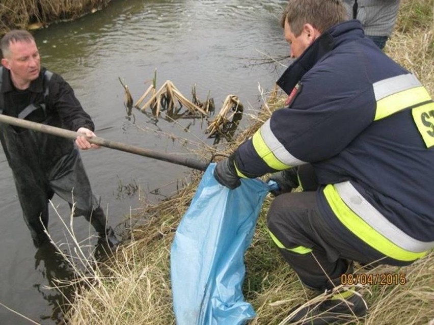 Odolanów: Szczeniaki utopione w rzece. Policja szuka sprawcy