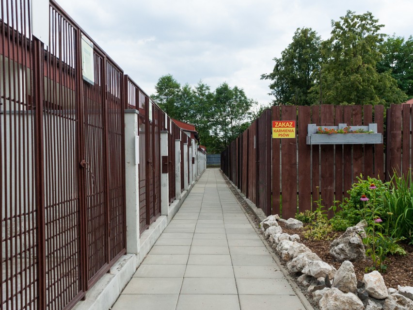 Krakowskie schronisko apeluje o pomoc. „Znaleźliśmy się w trudnej sytuacji”