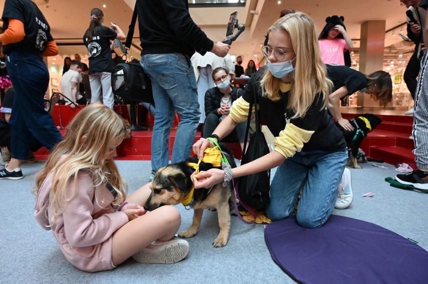 Zwierzaki opanowały Galerię Echo w Kielcach! Były prezentacje psów i konkursy z nagrodami [WIDEO, ZDJĘCIA]