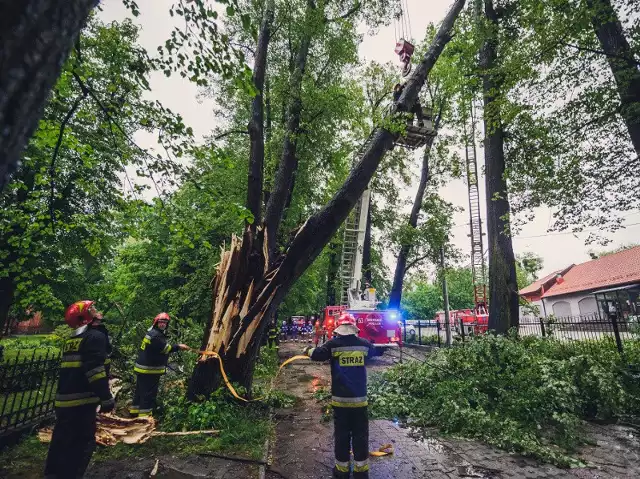 Drzewo przewróciło się na spacerowiczów, wiatr uszkodził cztery dachy. 317 interwencji strażaków w weekend z powodu fatalnej pogody Zobacz kolejne zdjęcia. Przesuwaj zdjęcia w prawo - naciśnij strzałkę lub przycisk NASTĘPNE