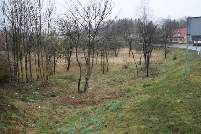 Widok na gęsi dołek w Miastku